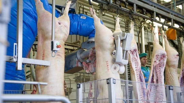 Thịt lợn đông lạnh: Bảo quản và rã đông đúng cách, ngon như thịt tươi