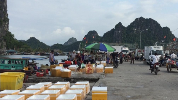 Nhuyễn thể của Quảng Ninh đã xuất khẩu trở lại