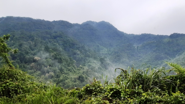 Tỉnh Thừa Thiên- Huế nói gì về việc giảm hơn 800 ha rừng?