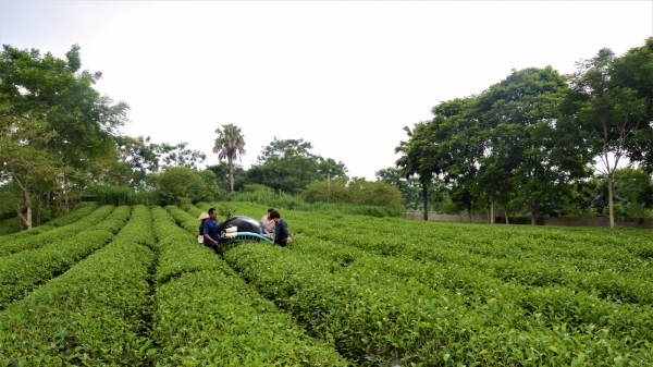 Nông nghiệp Tuyên Quang: Một nhiệm kỳ nhiều dấu ấn