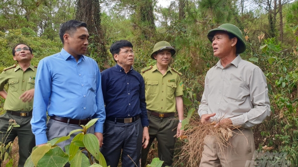 Hoan nghênh sáng kiến lắp camera giám sát lửa rừng của Nghệ An