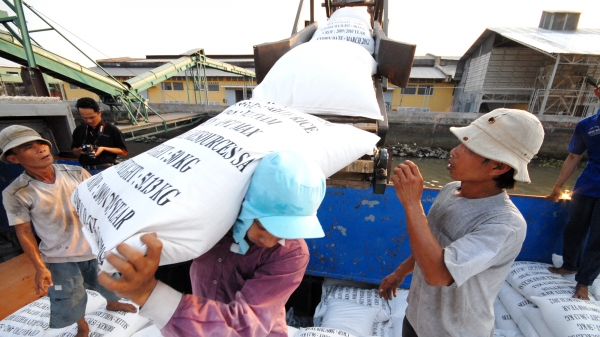 Xuất khẩu gạo lại gặp khó, giá giảm mạnh
