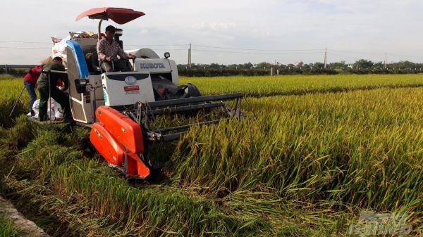 Nông nghiệp Nam Định tăng trưởng khá