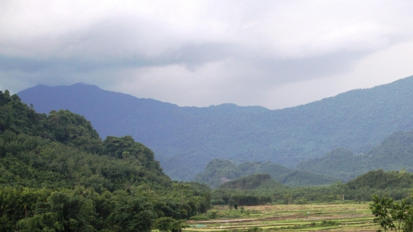 Thừa Thiên- Huế có 7.800 ha rừng được cấp chứng chỉ rừng FSC