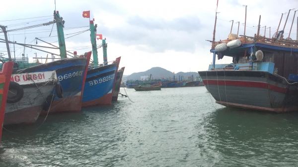 Thu hẹp cảng cá Quy Nhơn là 'triệt tiêu' nghề cá của ngư dân