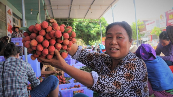 Cây ăn quả Bắc Giang hướng tới các thị trường khó tính