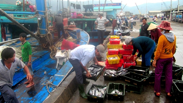 Bình Định: Lập chốt kiểm tra phòng, chống dịch Covid-19 tại các cảng cá