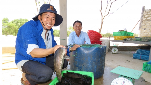 Sinh kế vùng bãi ngang Quảng Bình: (Bài 1) Ngư dân mê nuôi cá nước ngọt