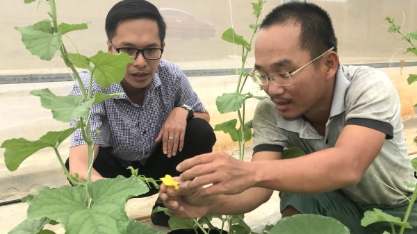 Hợp tác xã nông nghiệp công nghệ cao đầu tiên ở Bình Định