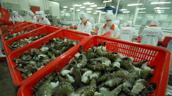 Hiệp định EVFTA: Tăng sức cạnh tranh cho ngành tôm Việt