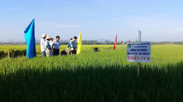 Thừa Thiên- Huế: Thêm 4 xã được công nhận đạt chuẩn nông thôn mới