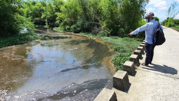 Cá chết trên sông nghi do nước thải từ Cụm công nghiệp An Lưu