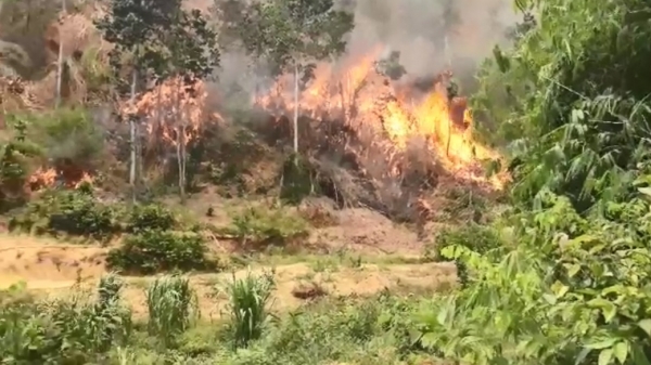 Khánh Hòa chỉ đạo xử lý vụ đốt, phá rừng ở Khánh Thành