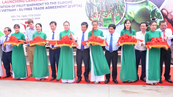 Vina T&T Group: Doanh nghiệp góp phần đưa trái cây xuất ngoại