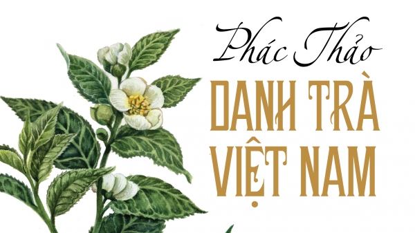 Danh trà Việt Nam trong đời sống hiện đại