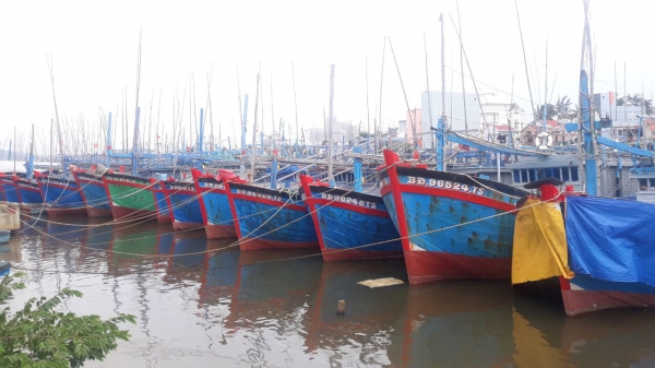 Cần nâng cấp hệ thống cảng cá ở Bình Định để ứng phó thiên tai