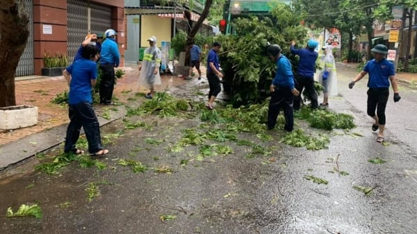 Phú Yên, Khánh Hòa thiệt hại bão số 12 không nặng nề