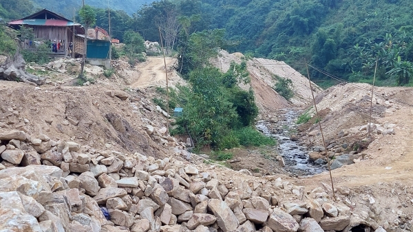 Thanh Hóa: Công ty Đông Thuận Phát phá rừng ngay trước mắt chính quyền?
