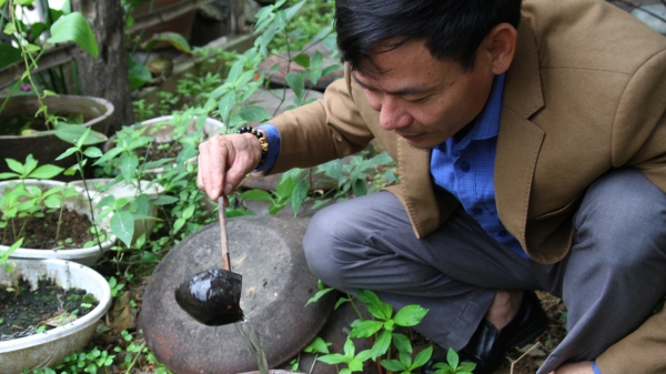 Chương trình OCOP tại Nghệ An:  Nỗ lực vun trồng, quả ngọt xứng đáng