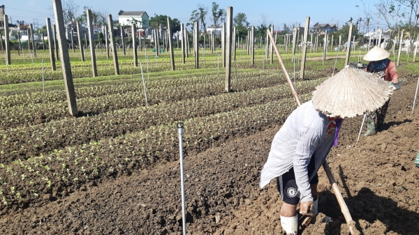 Vườn mẫu nâng tầm nông thôn mới ở Thừa Thiên- Huế