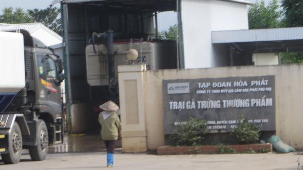 Công ty Gia cầm Hòa Phát Phú Thọ gây ô nhiễm