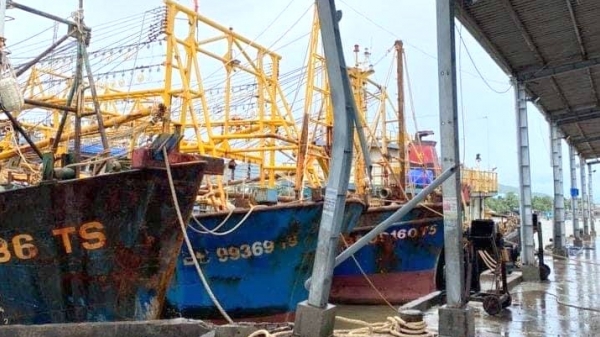 'Tàu cá 67' Bình Định thoát nạn nằm bờ do được bảo hiểm trở lại