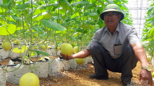 Thanh Hóa dự định lập khu nông nghiệp thông minh 2,5 nghìn ha