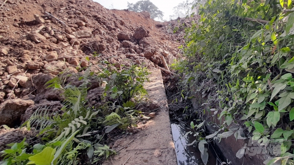 Thanh Hóa: Doanh nghiệp làm đường vùi lấp kênh mương