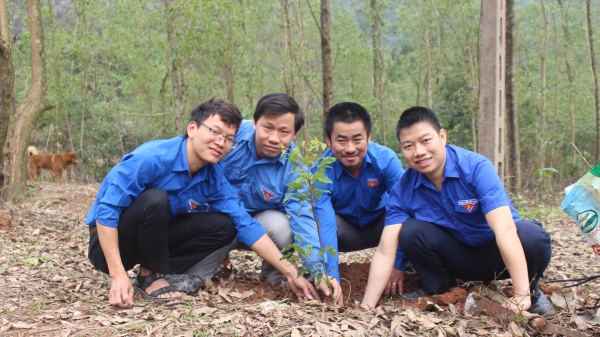 Quảng Trị triển khai hưởng ứng 'trồng 1 tỉ cây xanh'