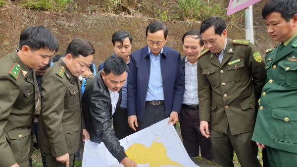 Yêu cầu tối thiếu 50% quân số trực bảo vệ rừng dịp Tết