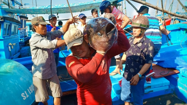 Phú Yên không còn tàu cá vi phạm vùng biển nước ngoài