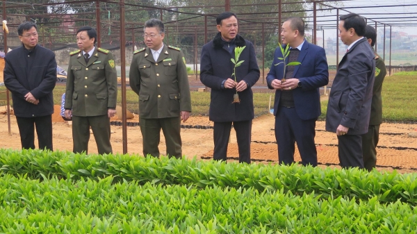 Thái Nguyên chuẩn bị kỹ càng cho vụ trồng rừng mới
