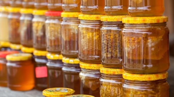 Tranh cãi về mật ong tại thị trường Anh