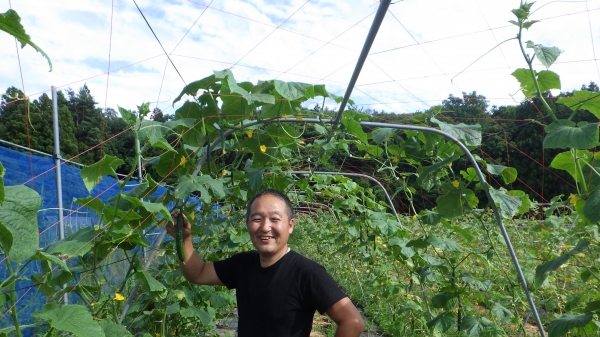 Một thập kỷ khôi phục nghề nông ở Fukushima