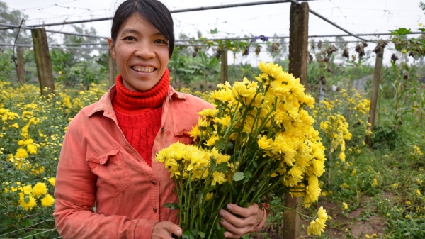 Phát triển hoa, cây cảnh thành ngành kinh tế sinh thái ở Hà Nội