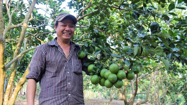 Quảng Nam quy hoạch lại ngành nông nghiệp để thu hút doanh nghiệp vào đầu tư