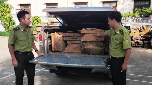 Truy đuổi xe bán tải dùng biển giả vận chuyển gỗ lậu