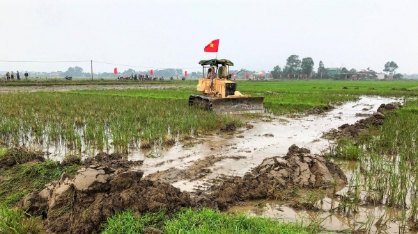 'Cách mạng' cánh đồng lớn của Hà Tĩnh