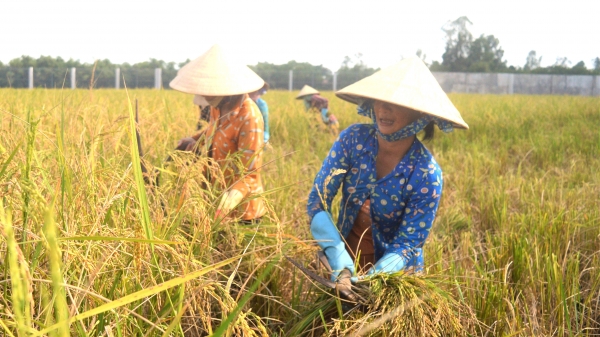 Đồng bào Khmer đổi thay từ chương trình nông thôn mới