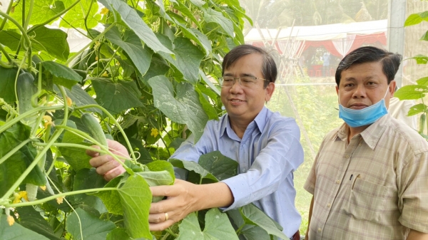Đồng bào Khmer sản xuất nông nghiệp kết hợp điện mặt trời