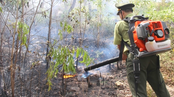 87.000 ha rừng có nguy cơ cháy cao trong mùa nắng nóng