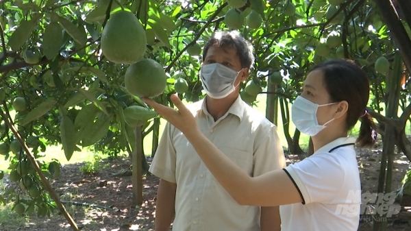 Quỹ làm giàu của nông dân - một ‘đặc sản’ chỉ có ở Hà Nội
