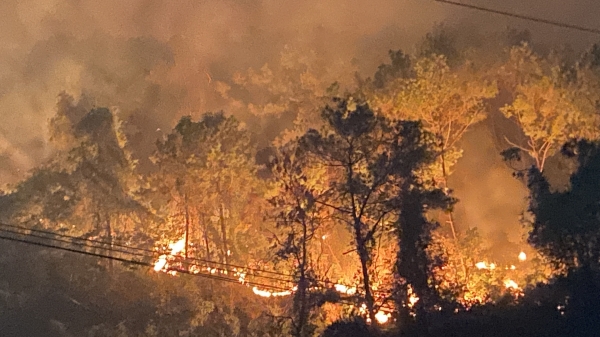 Nửa năm, hơn 300 ha rừng Thừa Thiên - Huế bị cháy