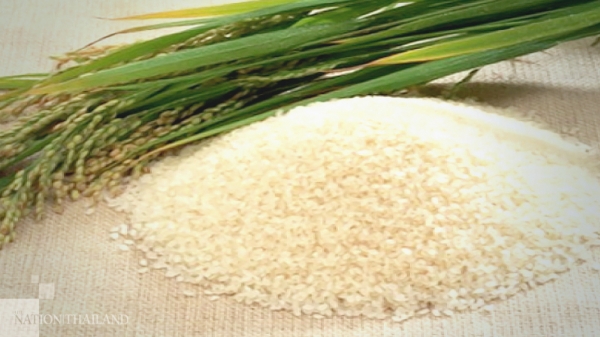 Gạo Jasmine tốt cho sức khỏe ra sao, nên dùng loại nào?