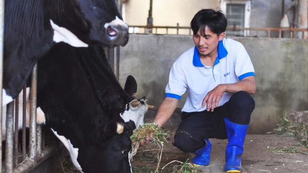 Chăn nuôi Lâm Đồng đảm bảo nguồn cung cuối năm