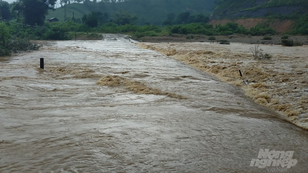 Quảng Trị: Một người mất tích, nhiều khu vực bị chia cắt do mưa lũ