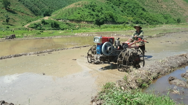 Hết cảnh thiếu ăn vì biết trồng lúa nước