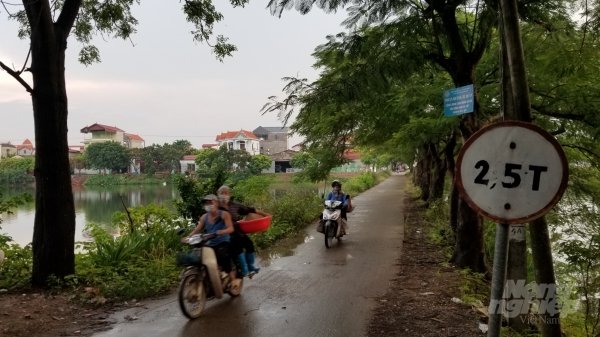 Văn Đức - nông thôn mới nhiều màu xanh của ngoại thành Hà Nội