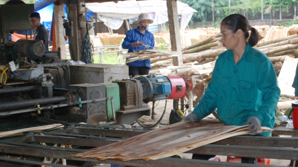 Các cơ sở chế biến gỗ lao đao
