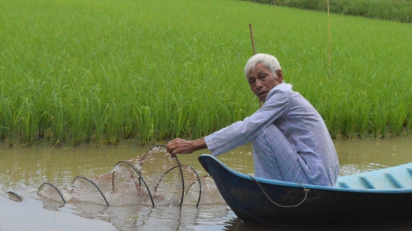 Kiên Giang chuyển dịch mạnh sang phát triển kinh tế thủy sản
